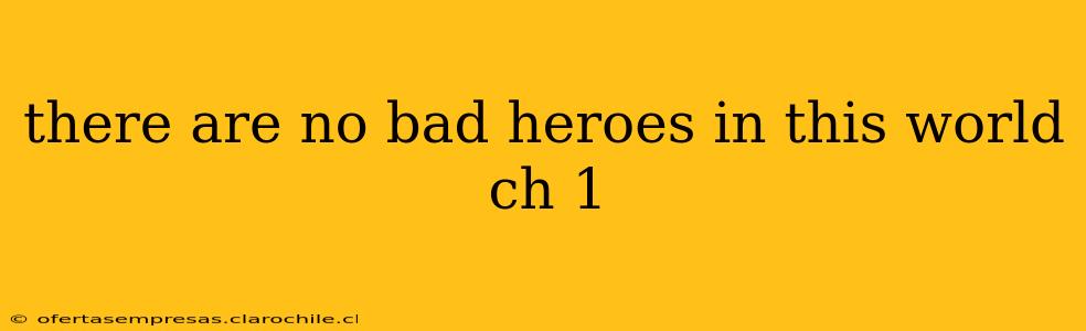 there are no bad heroes in this world ch 1
