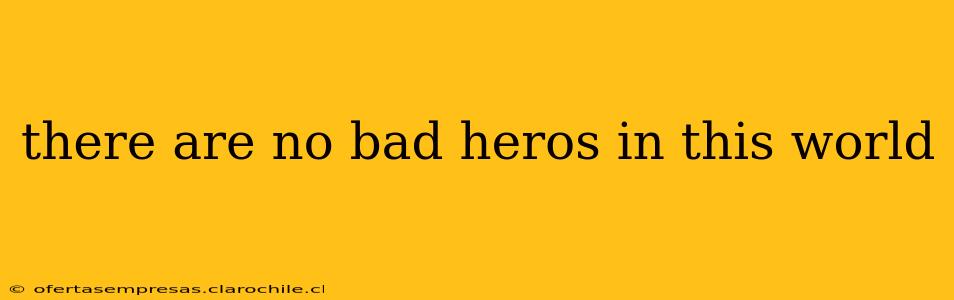 there are no bad heros in this world