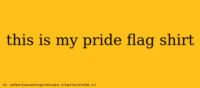 this is my pride flag shirt