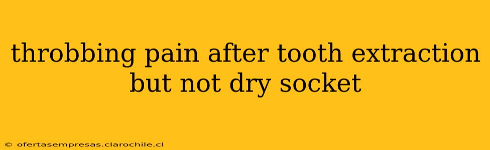 throbbing pain after tooth extraction but not dry socket