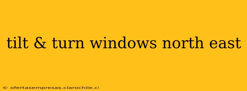 tilt & turn windows north east