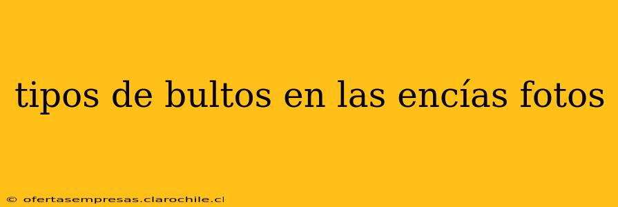 tipos de bultos en las encías fotos