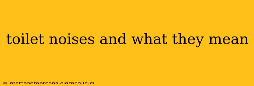 toilet noises and what they mean