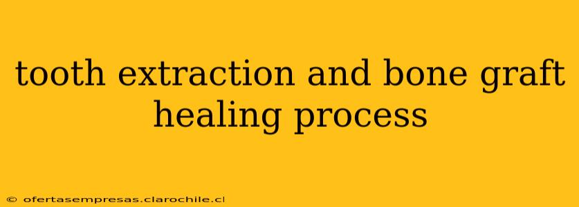 tooth extraction and bone graft healing process
