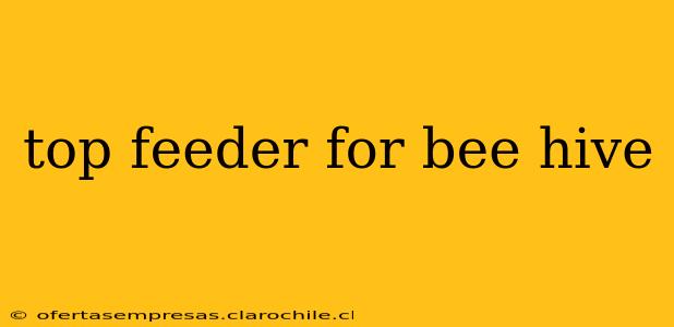 top feeder for bee hive