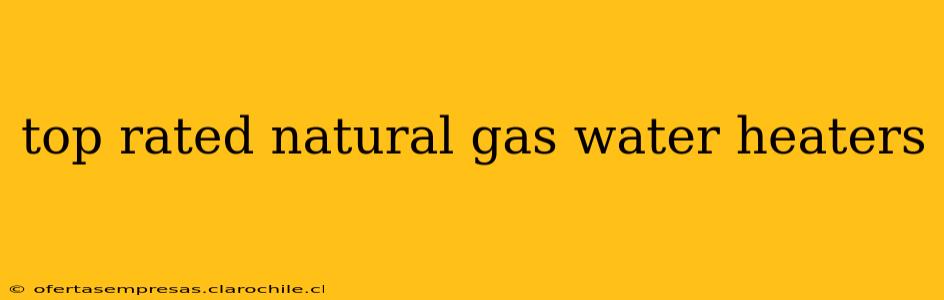 top rated natural gas water heaters