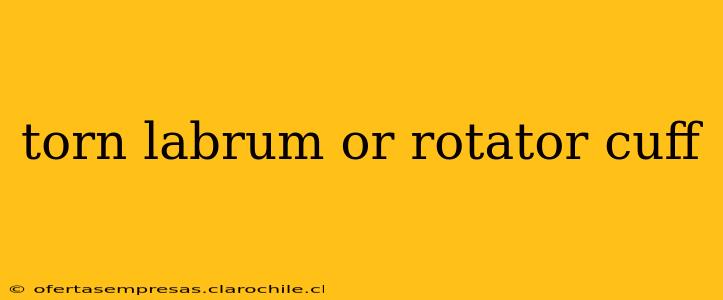 torn labrum or rotator cuff