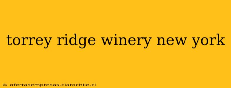 torrey ridge winery new york