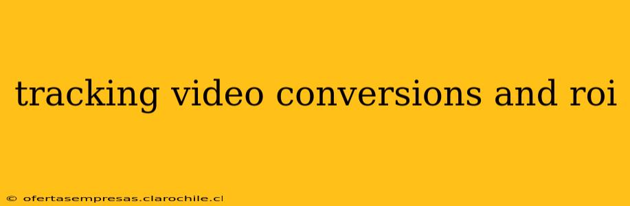 tracking video conversions and roi