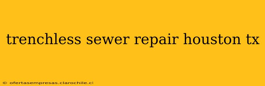 trenchless sewer repair houston tx