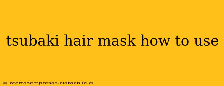 tsubaki hair mask how to use