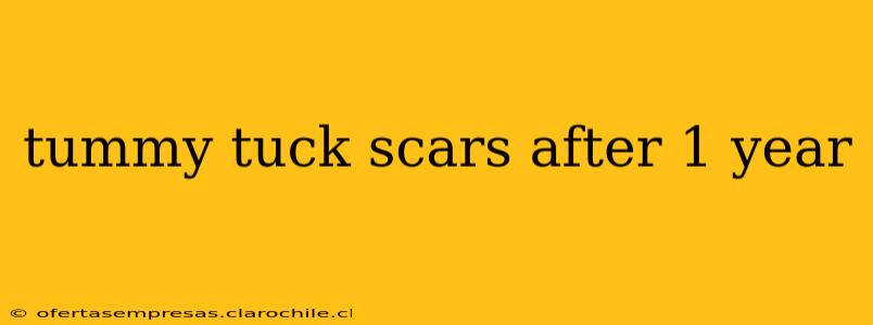 tummy tuck scars after 1 year