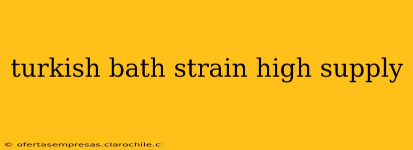 turkish bath strain high supply
