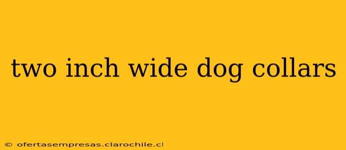 two inch wide dog collars