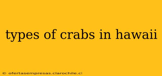 types of crabs in hawaii