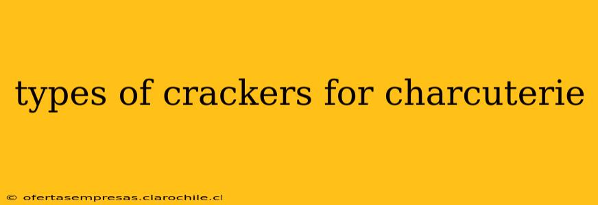 types of crackers for charcuterie