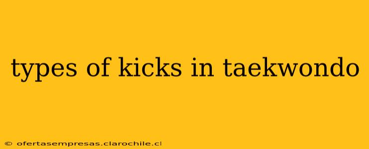 types of kicks in taekwondo