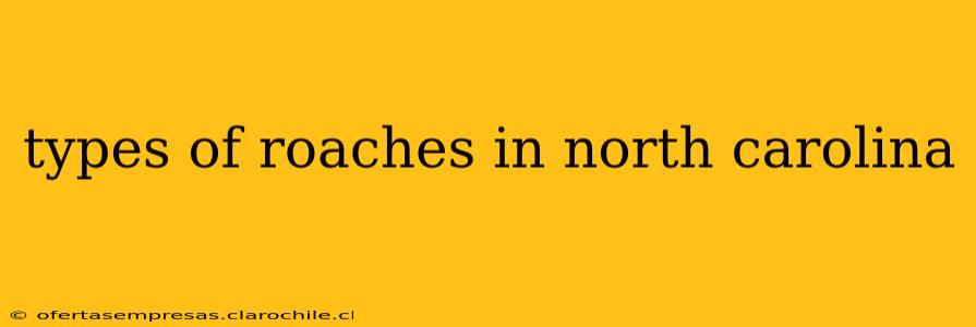 types of roaches in north carolina