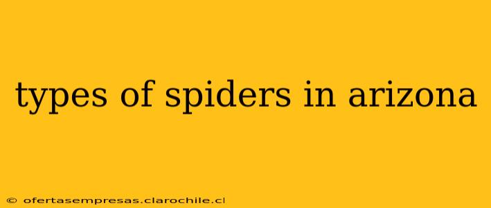 types of spiders in arizona