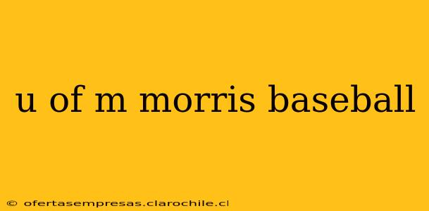 u of m morris baseball