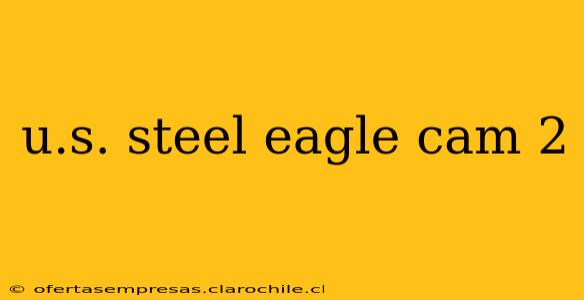 u.s. steel eagle cam 2