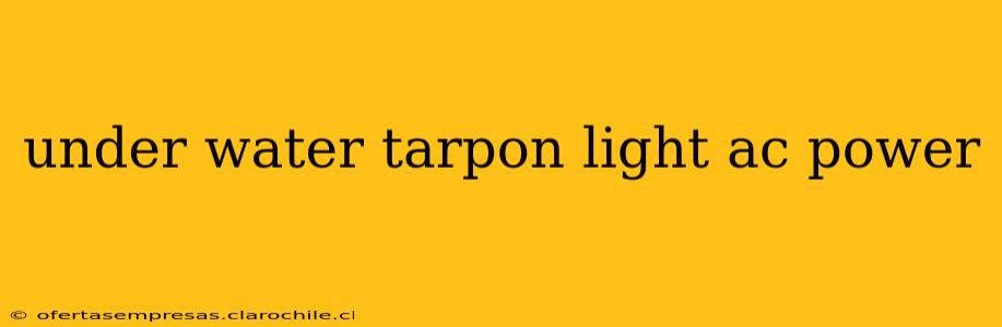 under water tarpon light ac power