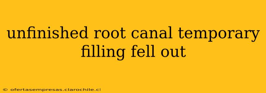 unfinished root canal temporary filling fell out