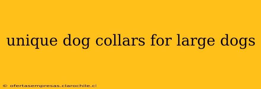 unique dog collars for large dogs