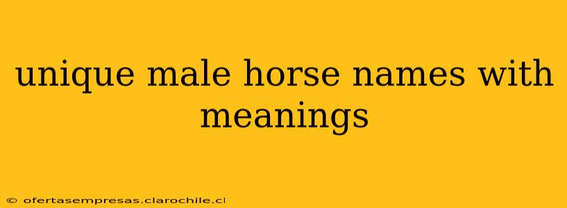 unique male horse names with meanings