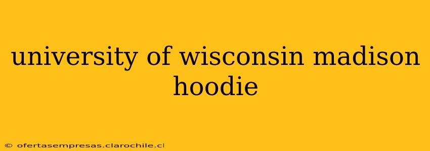 university of wisconsin madison hoodie