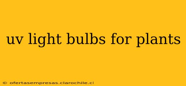 uv light bulbs for plants