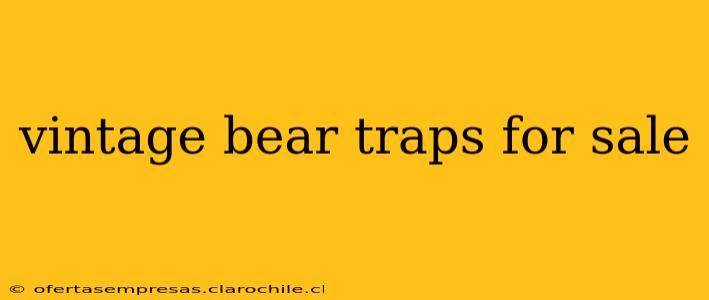 vintage bear traps for sale