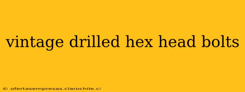 vintage drilled hex head bolts
