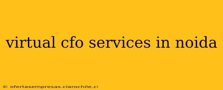 virtual cfo services in noida