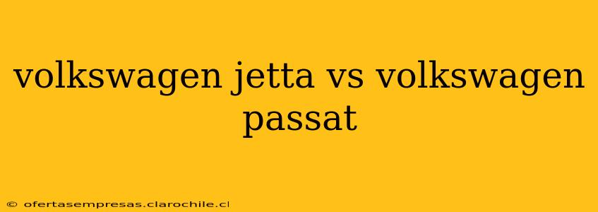 volkswagen jetta vs volkswagen passat