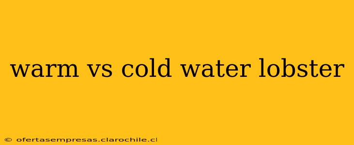 warm vs cold water lobster