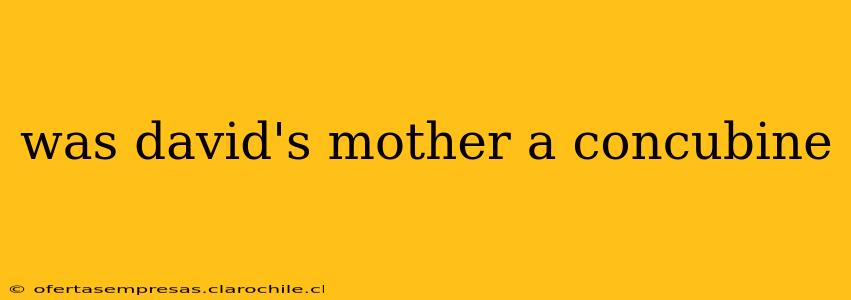 was david's mother a concubine