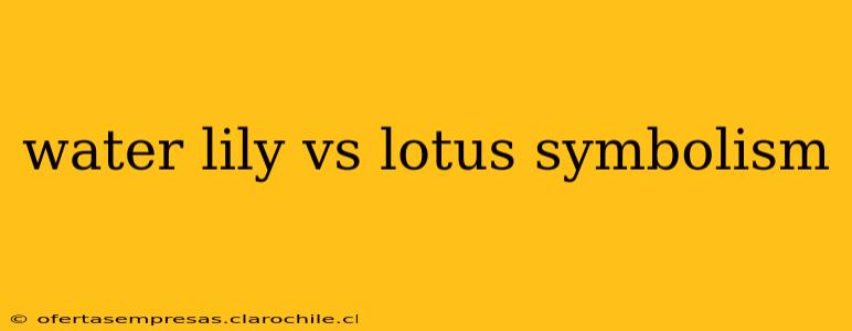 water lily vs lotus symbolism