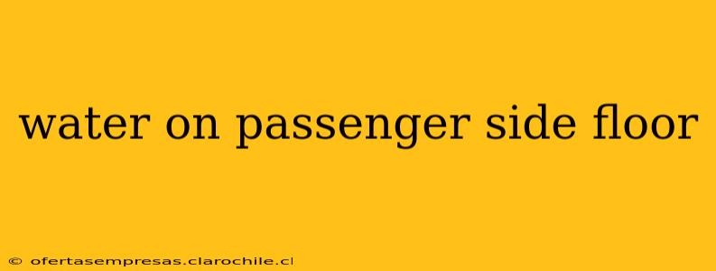 water on passenger side floor