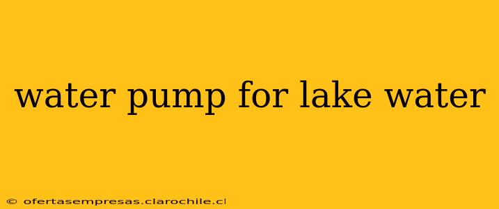water pump for lake water