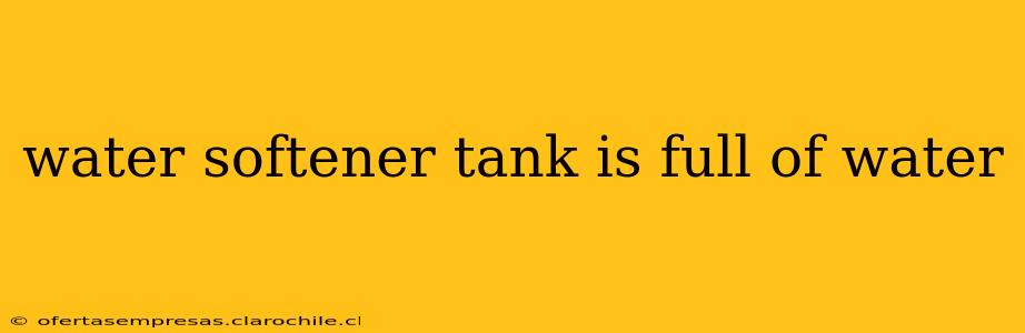 water softener tank is full of water