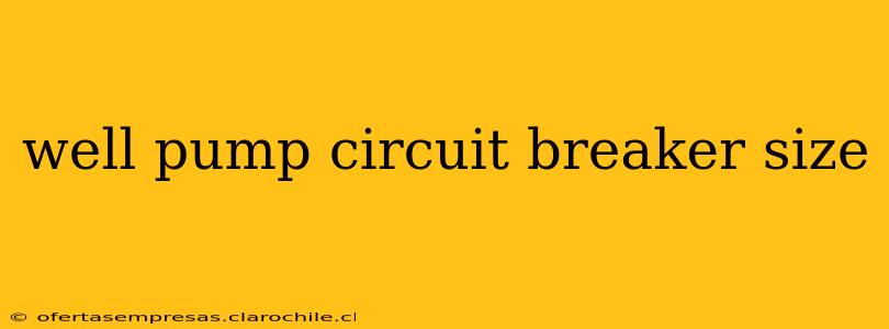 well pump circuit breaker size