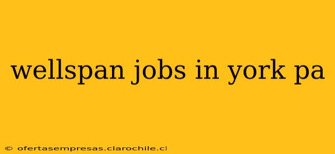 wellspan jobs in york pa