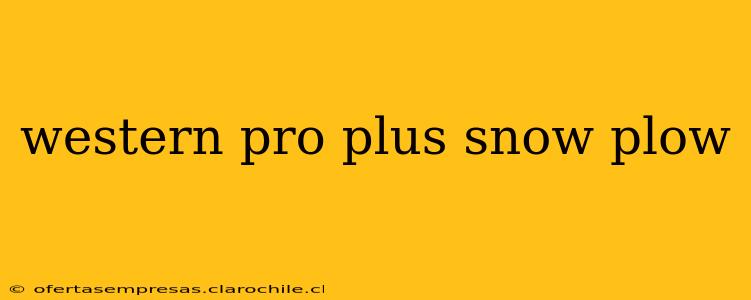 western pro plus snow plow