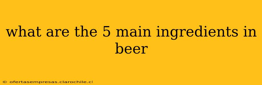 what are the 5 main ingredients in beer