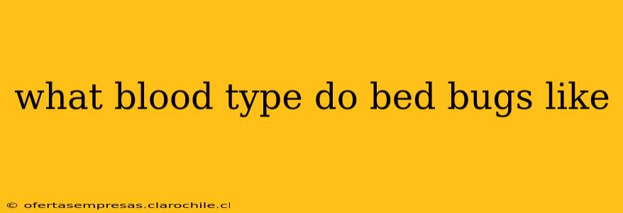 what blood type do bed bugs like