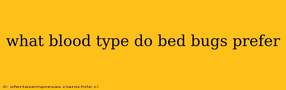 what blood type do bed bugs prefer