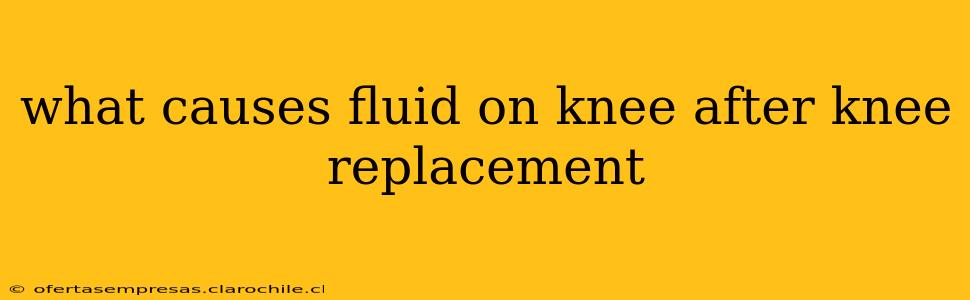 what causes fluid on knee after knee replacement