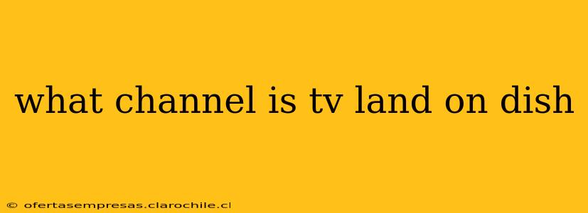 what channel is tv land on dish