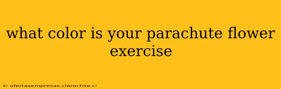 what color is your parachute flower exercise
